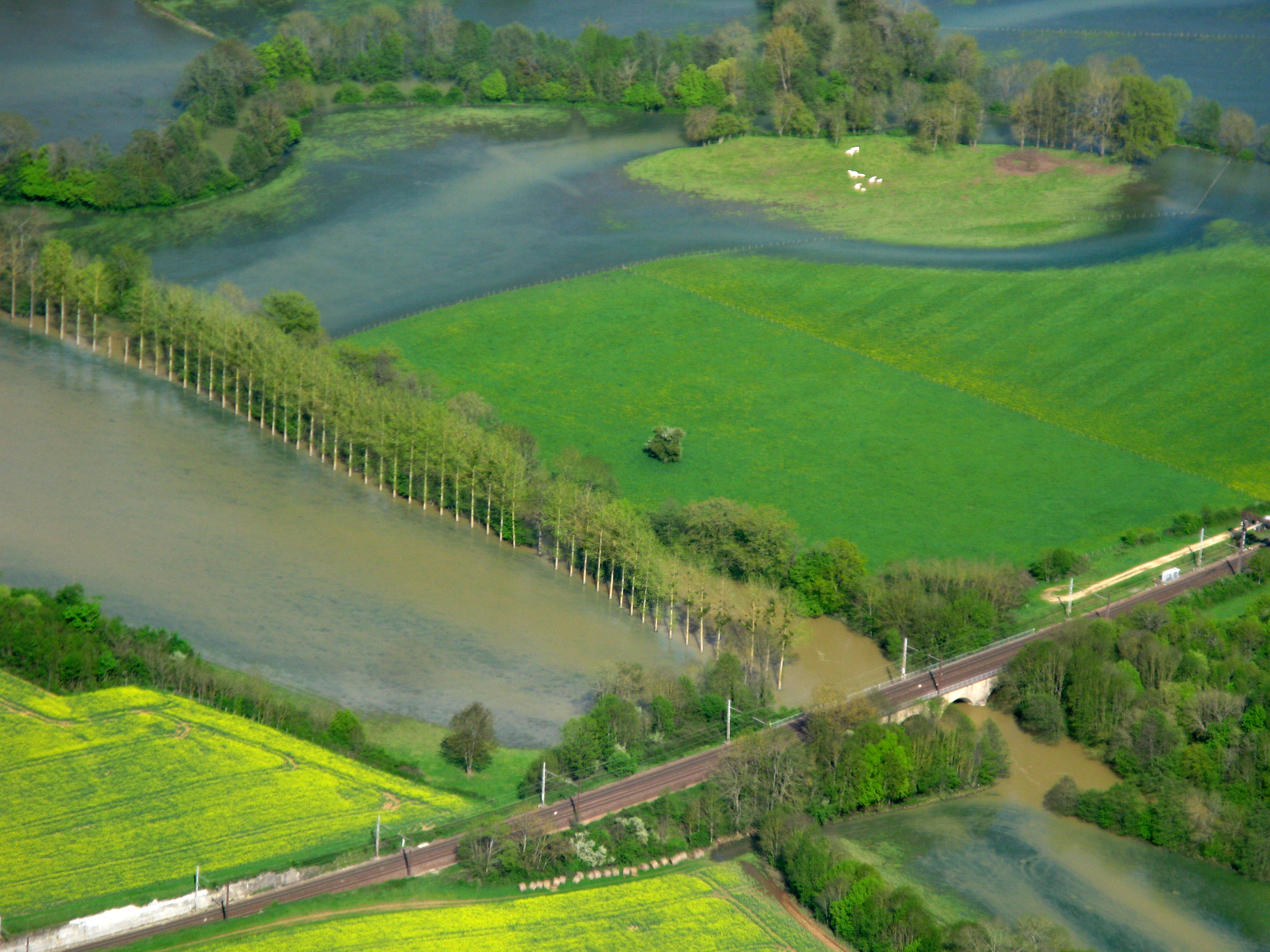 Crue de l'Armançon, en mai 2013, à Buffon en Côte d'Or